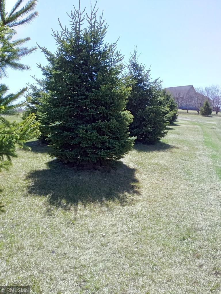 TBD Merles Ln, Nowthen, MN 55303
