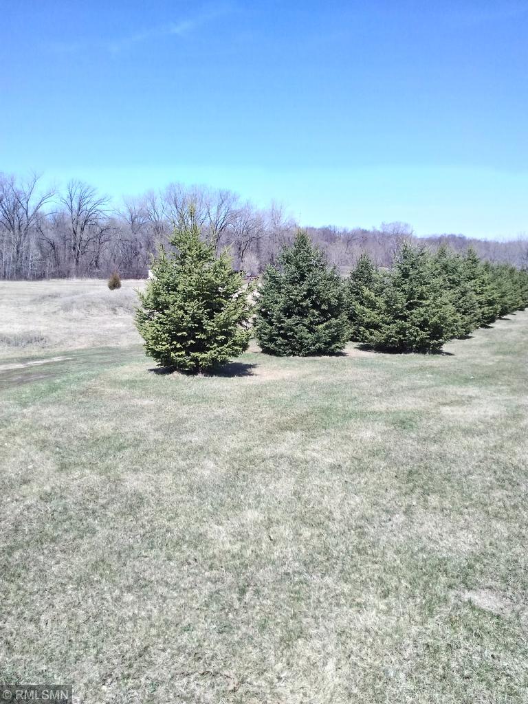 TBD Merles Ln, Nowthen, MN 55303