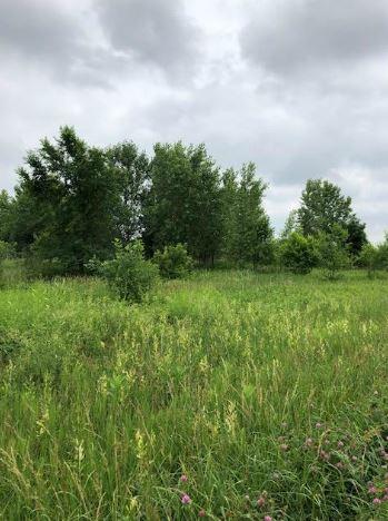 22121 Eaton St NW, Nowthen, MN 55303