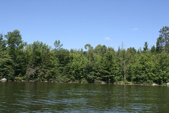 3212 Woolverton Rd, Orr, MN 55771