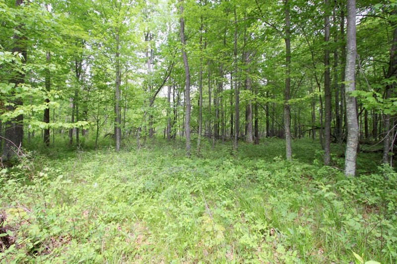 TBD Maplewood Ridge Ct, East Gull Lake, MN 56401
