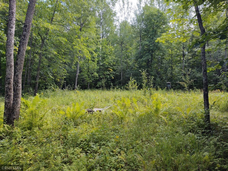 XXX 1st St N, Brookston, MN 55711