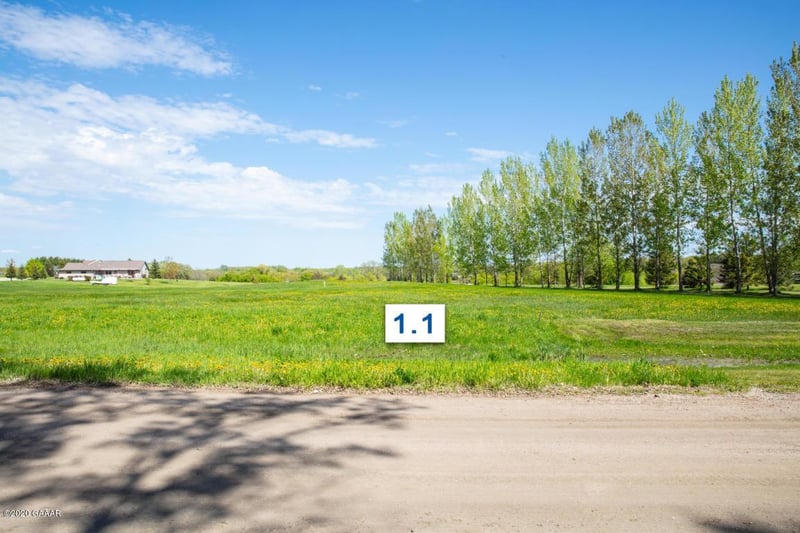 310 Lot1.1 Mallard Ln, Brandon, MN 56315