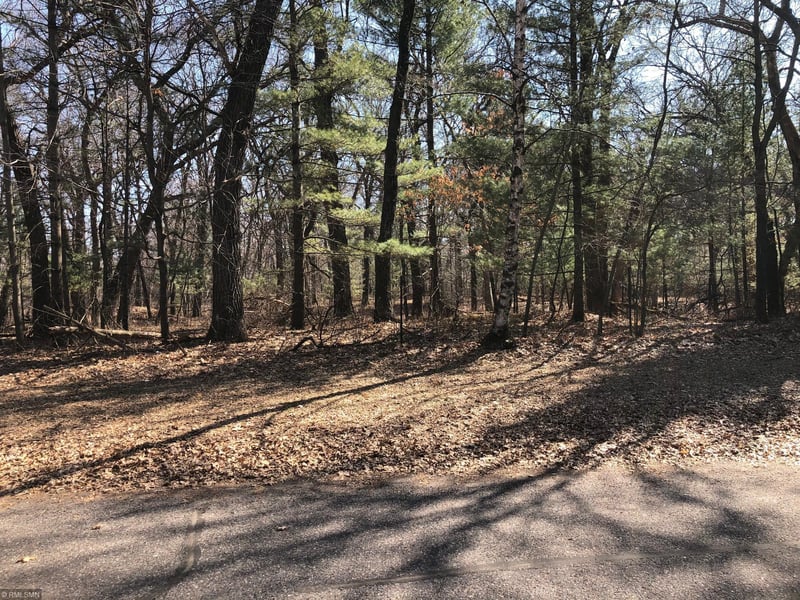 XXX S Linwood Dr NE, Wyoming, MN 55092