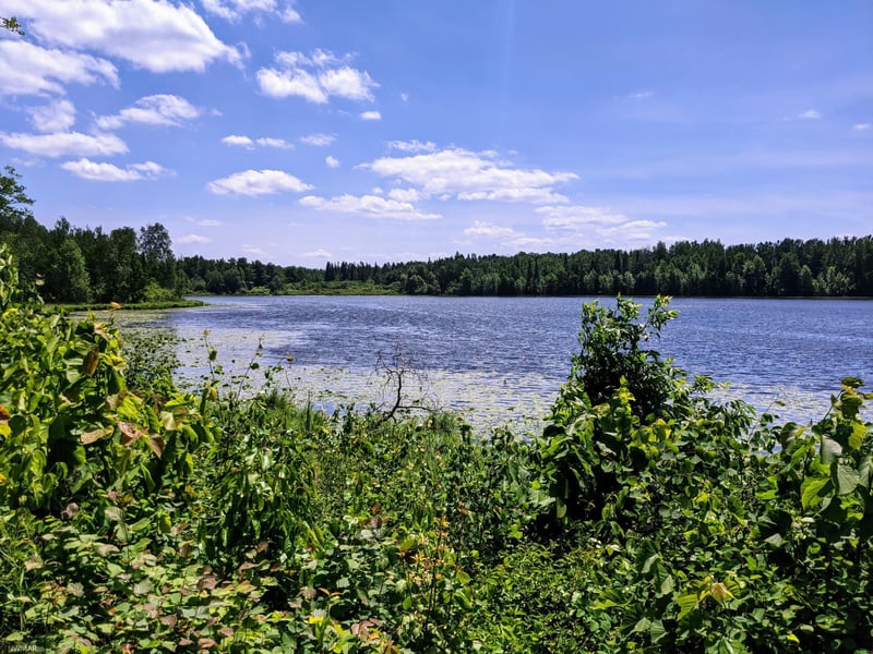 11147 County Road 25, Mizpah, MN 56660