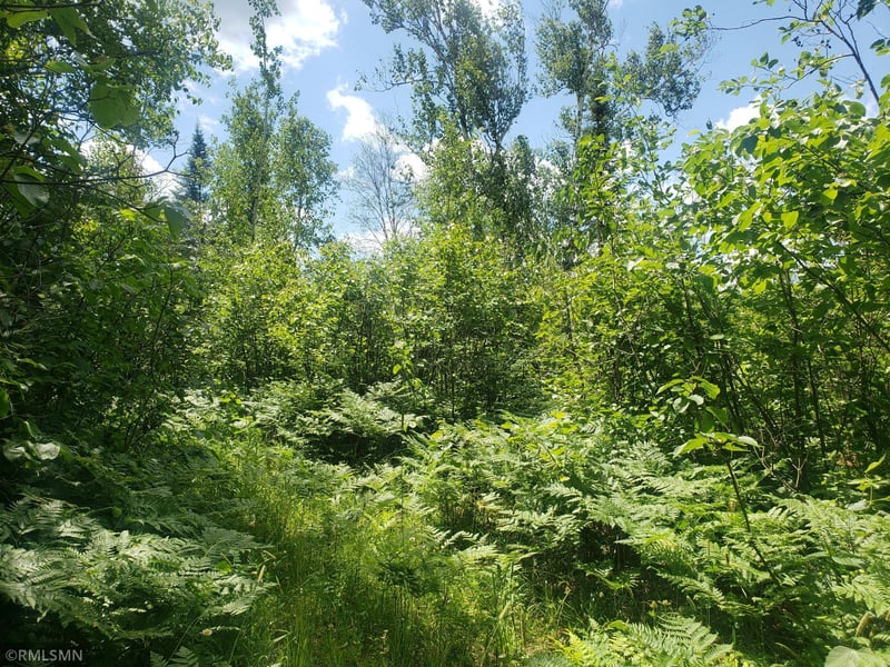 11138 County Road 25, Mizpah, MN 56660