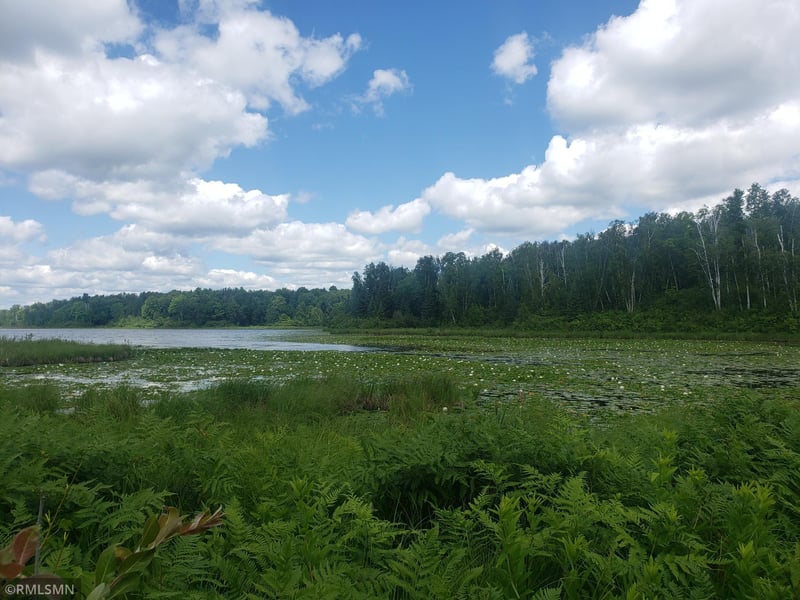 11138 County Road 25, Mizpah, MN 56660