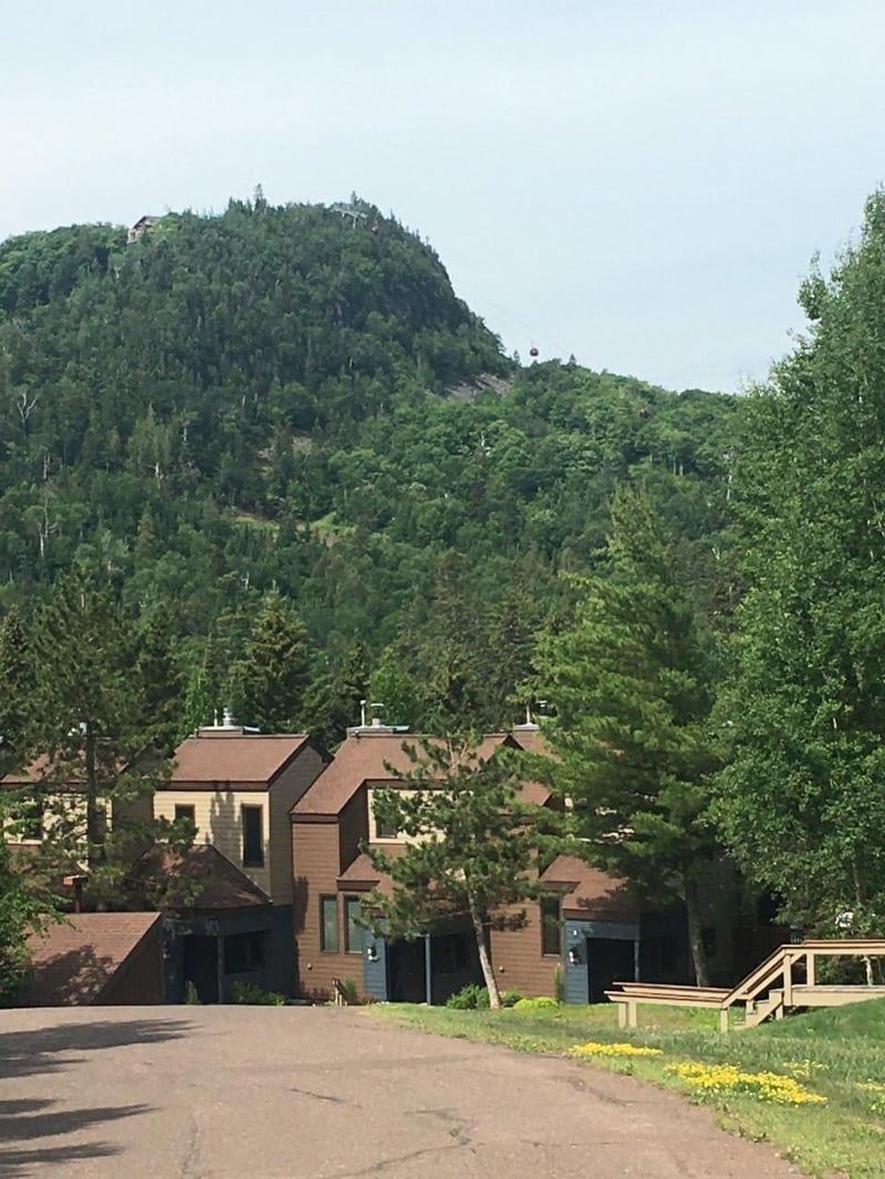 650 Moose Mountain Dr, Lutsen, MN 55612