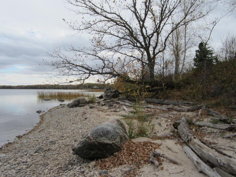 xxxx Maple Drive Nw, Baudette, MN 56623