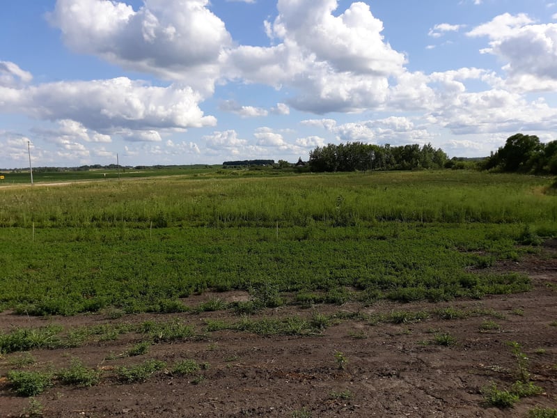 1714 Co Road 74 NE, Nelson, MN 56355