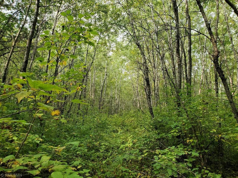 XXX Lester Rd, Springbrook, WI 54875