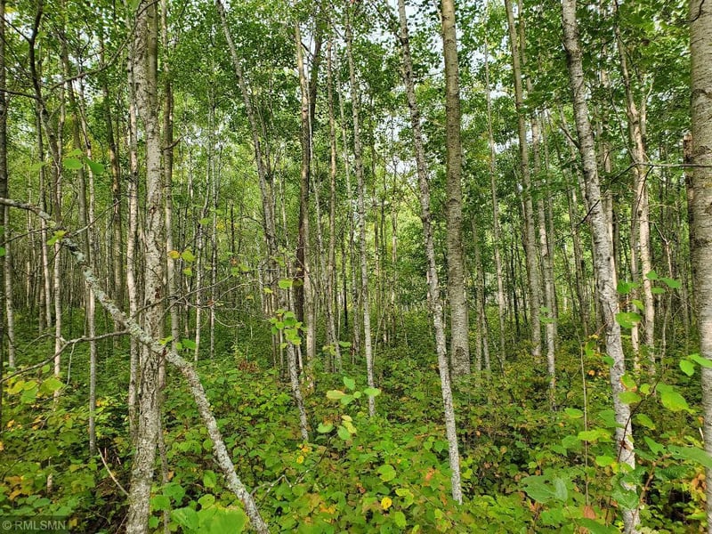 XXX Lester Rd, Springbrook, WI 54875