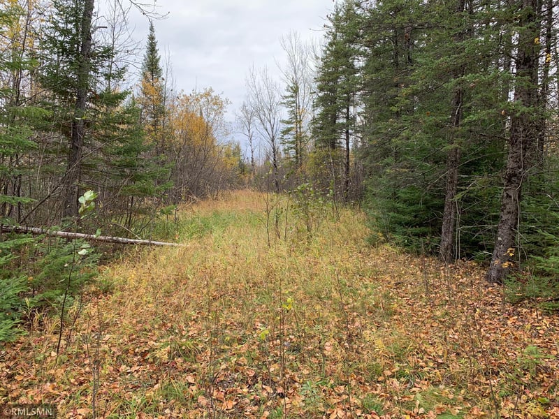 XXX County Hwy 32 W, Loman, MN 56654