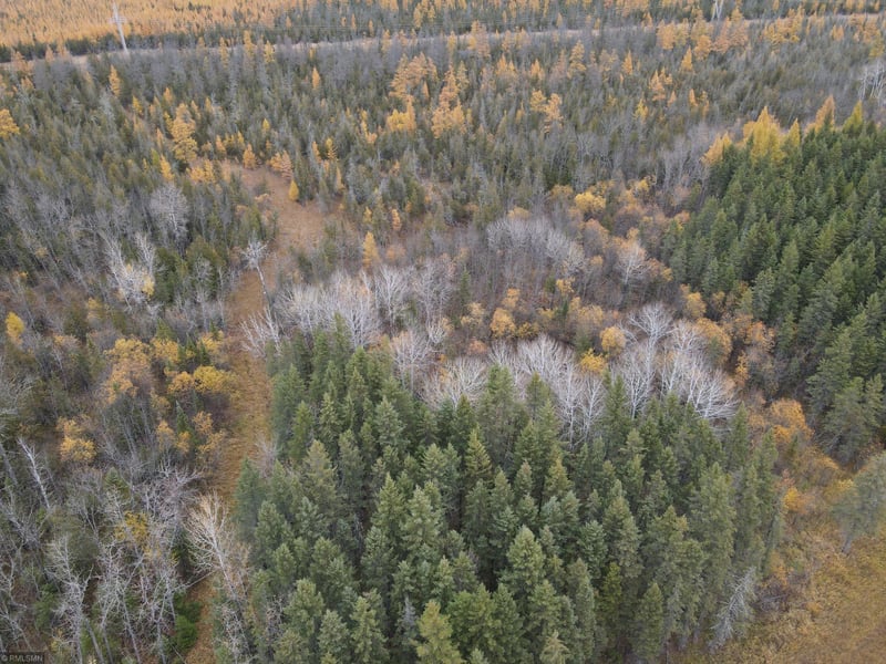 XXX County Hwy 32 W, Loman, MN 56654
