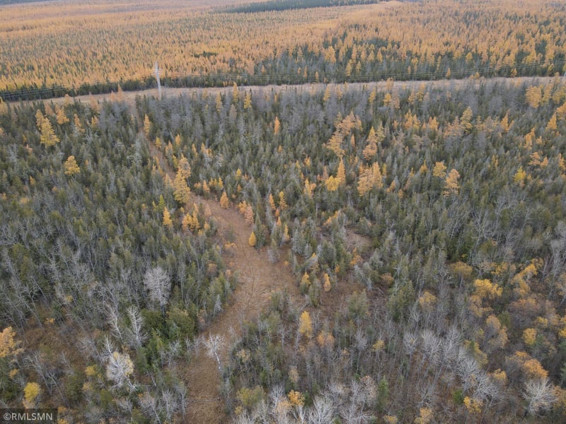 XXX County Hwy 32 W, Loman, MN 56654