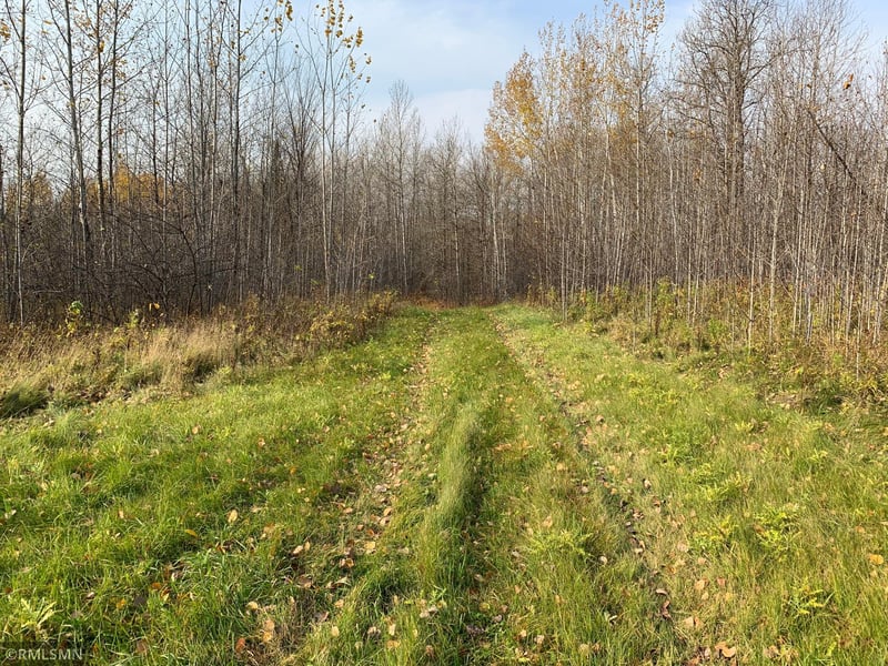 XXX Black River Rd, Loman, MN 56654