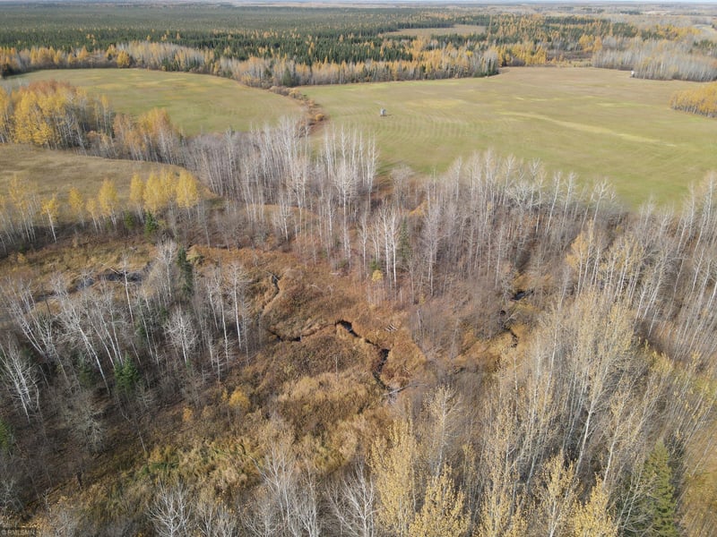 XXX Black River Rd, Loman, MN 56654