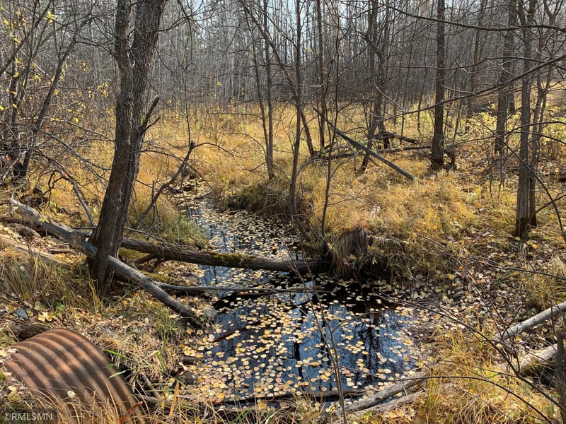 XXX Black River Rd, Loman, MN 56654