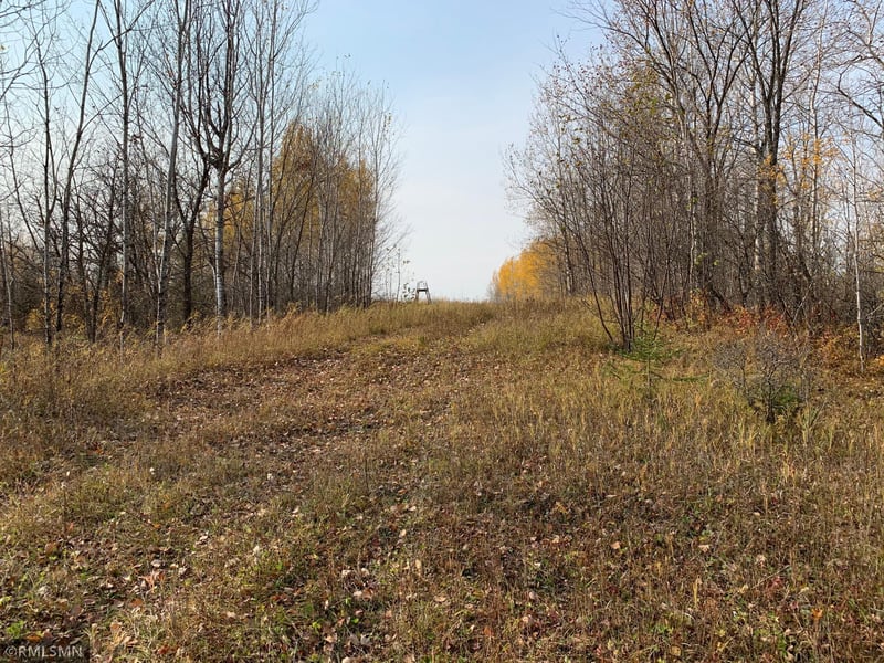 XXX Black River Rd, Loman, MN 56654