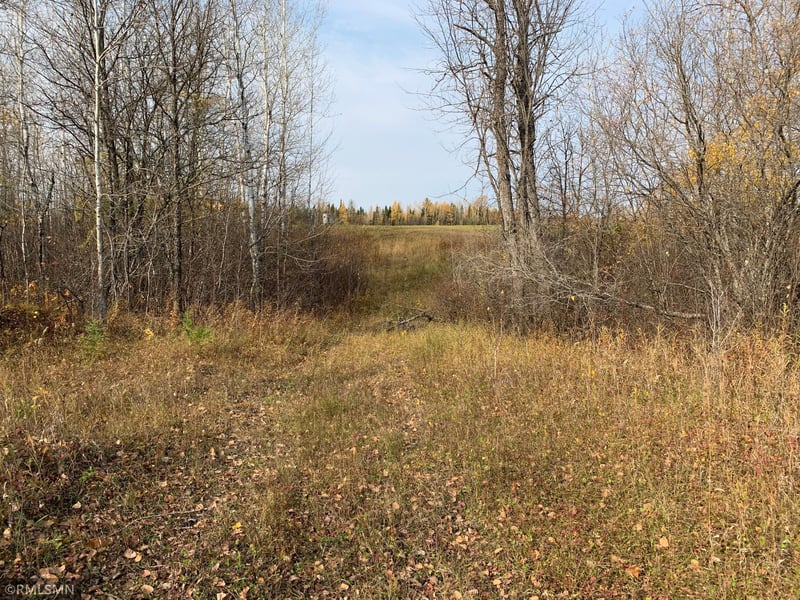 XXX Black River Rd, Loman, MN 56654