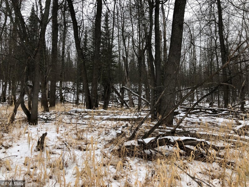 2416 Highway 11, Loman, MN 56654