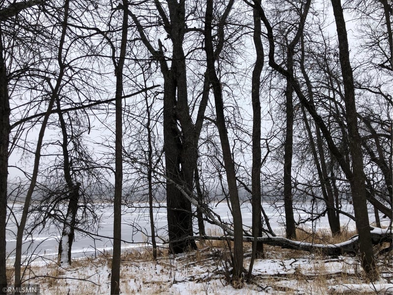 2416 Highway 11, Loman, MN 56654