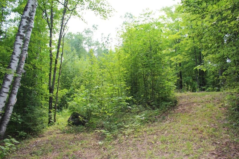 34825 State Hwy 13, Bayfield, WI 54814