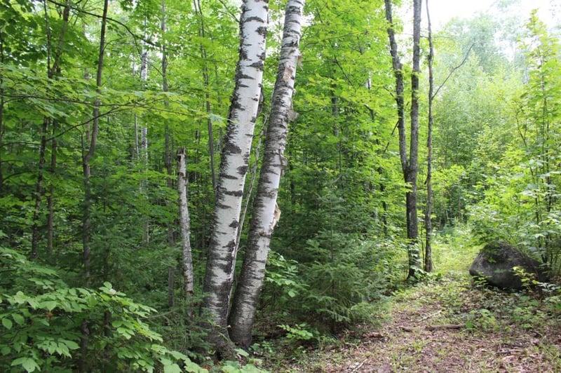 34825 State Hwy 13, Bayfield, WI 54814