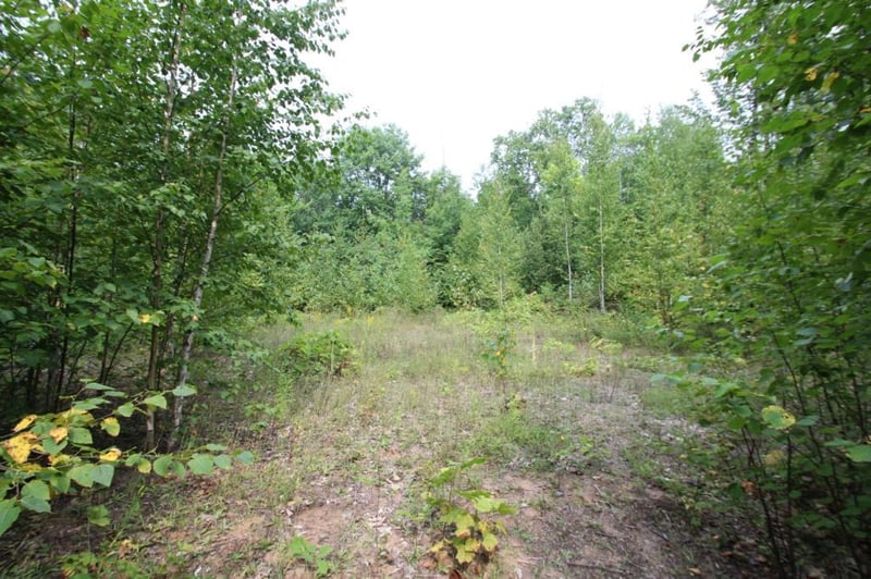34825 State Hwy 13, Bayfield, WI 54814