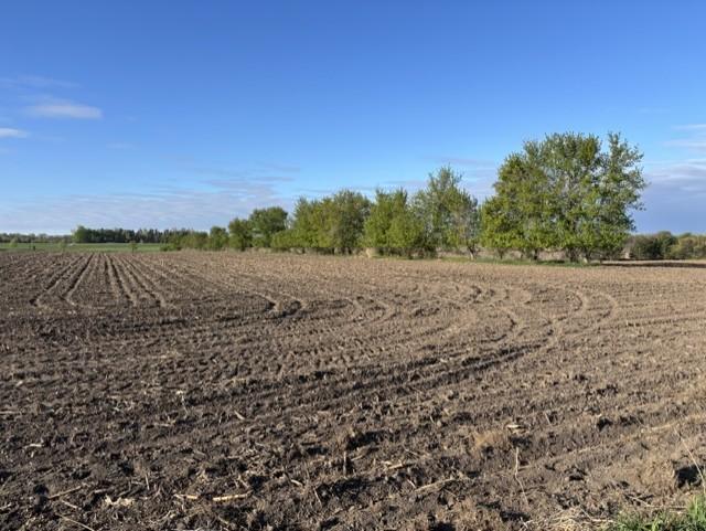 TBD Island Estates Dr NW #site 12, Pine Island, MN 55963