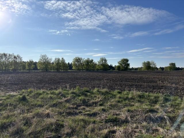 TBD Island Estates Dr NW #site 12, Pine Island, MN 55963