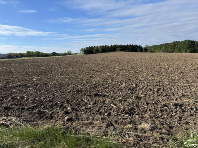 TBD Pine Bluff Rd NW #site 15, Pine Island, MN 55963
