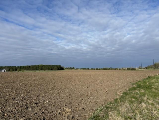 TBD Pine Bluff Rd NW #site 15, Pine Island, MN 55963