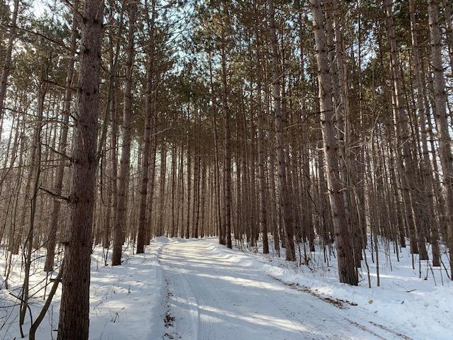157 147th St, Eureka, WI 54007