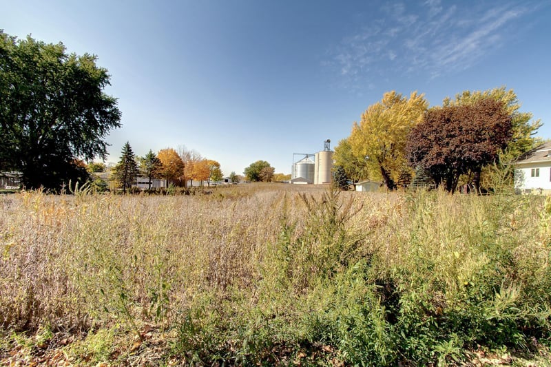 xxx Maple Ave S, Le Center, MN 56057