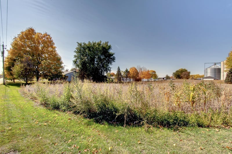 xxx Maple Ave S, Le Center, MN 56057