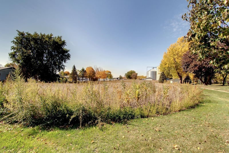 xxx Maple Ave S, Le Center, MN 56057