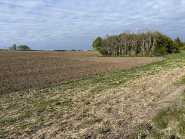 TBD New Haven Rd NW #site 18, Pine Island, MN 55963