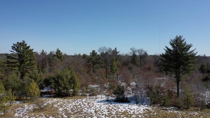0 Center Rd, Fairchild, WI 54741