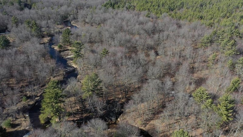 0 Black Creek Rd, Fairchild, WI 54741