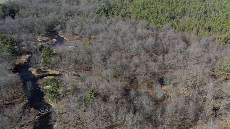 0 Black Creek Rd, Fairchild, WI 54741
