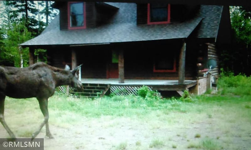1416 Forest Road 824, Isabella, MN 55607