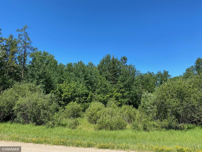 0 Grant Hills Rd SW, Bemidji, MN 56601