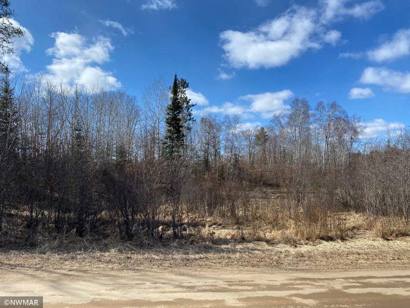 0 Grant Hills Rd SW, Bemidji, MN 56601