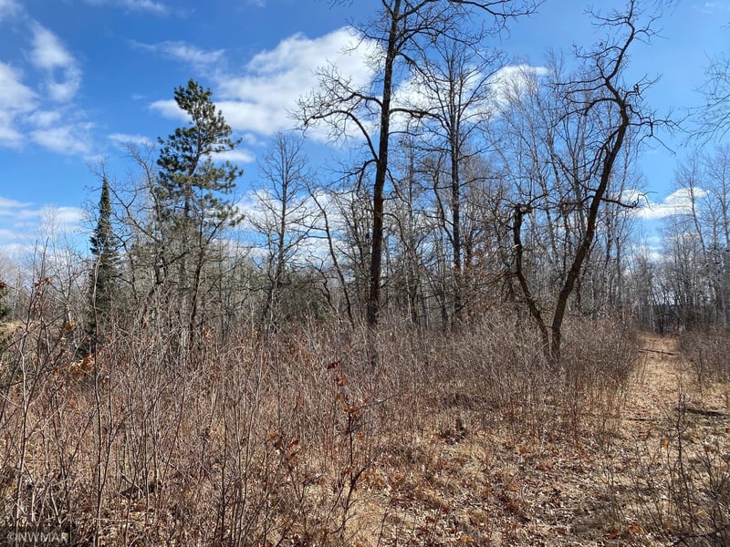 0 Grant Hills Rd SW, Bemidji, MN 56601