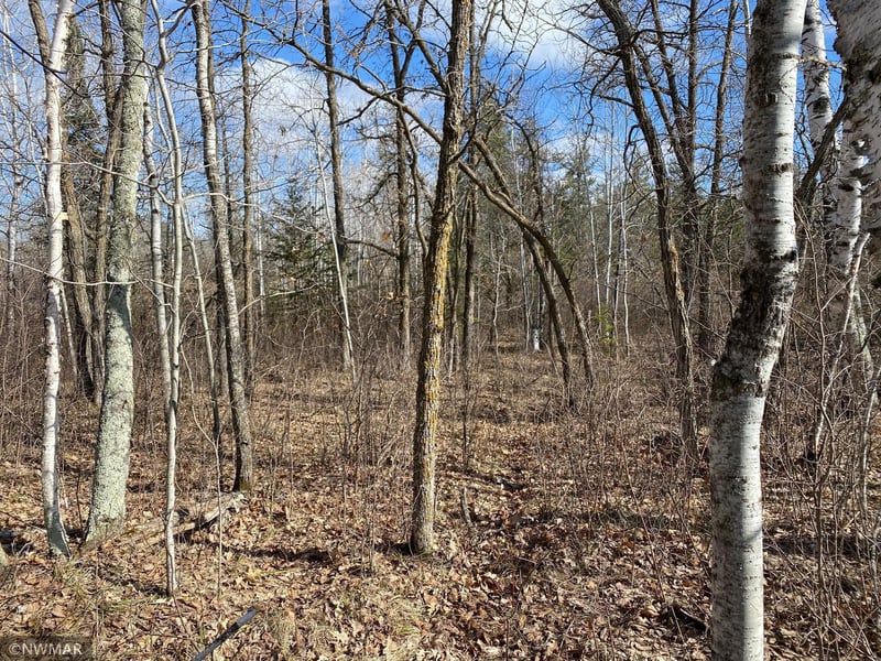 0 Grant Hills Rd SW, Bemidji, MN 56601