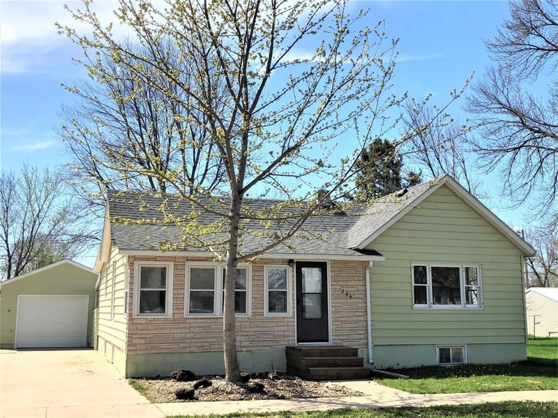 205 S Chestnut St, Ellsworth, MN 56129
