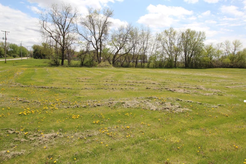 TBD Cedar L1b2 St, Dexter, MN 55926