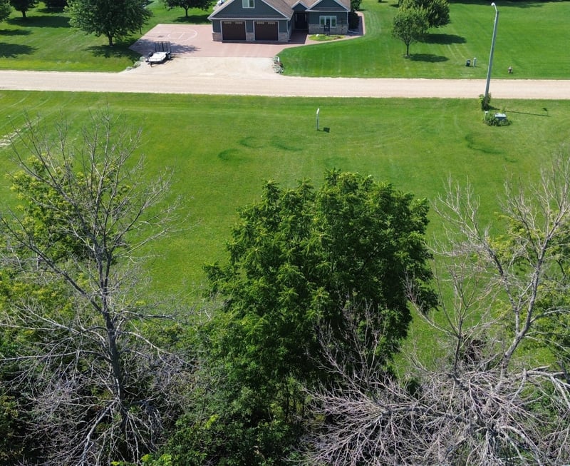 TBD Cedar L3b2 St, Dexter, MN 55926