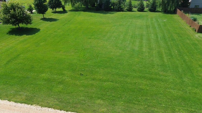 TBD Cedar L6b1 St, Dexter, MN 55926